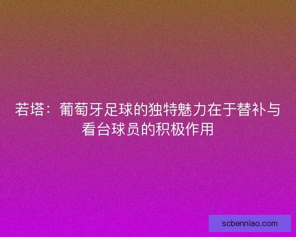 若塔：葡萄牙足球的独特魅力在于替补与看台球员的积极作用