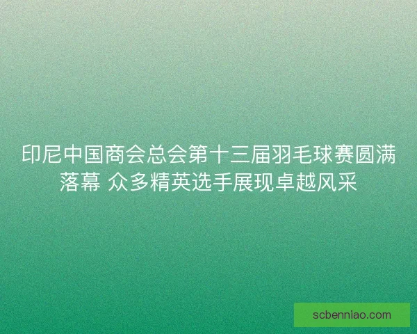 印尼中国商会总会第十三届羽毛球赛圆满落幕 众多精英选手展现卓越风采