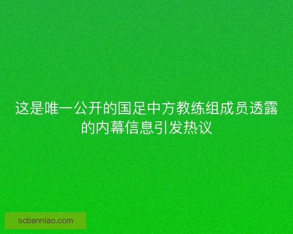 这是唯一公开的国足中方教练组成员透露的内幕信息引发热议 这是唯一公开的国足中方教练组成员透露的内幕信息引发热议